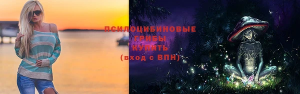 дживик Вязники